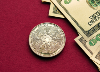 Cardano ADA FOMO bitcoin Ethereum Chainlink