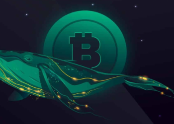 Bitcoin Balinaları, BTC Arzının Neredeyse Yarısını Kontrol Ediyor!