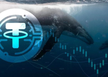Balinalar Tether’ı (USDT) Terk Ediyor! Ne Anlama Geliyor?