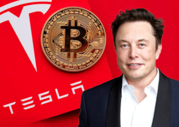 Tesla İkinci Çeyrek Raporu ve Elon Musk Açıklamaları!