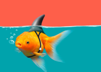 Kripto Bitcoin Ethereum Sahte TÜFE oranlarınsdan olumsuz etkilendi