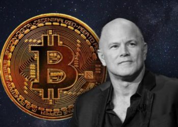 Novogratz Bitcoin