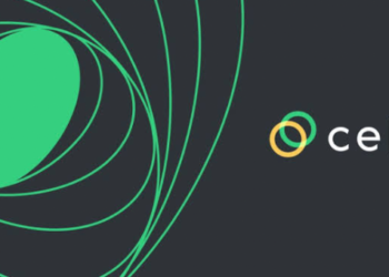 Celo Blockchain Kritik Bir Ağ Kesintisi Yaşıyor!