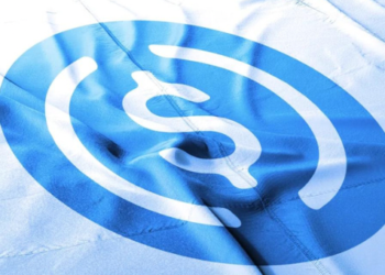 Circle CEO’sundan USDC Rezervleri Hakkına İddialı Açıklama!