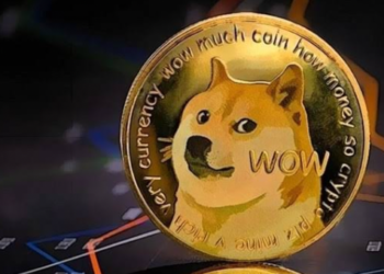 Dogecoin (DOGE) Adreslerinin Sayısı Yüzde 260’ın Üzerine Çıktı