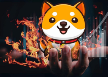 BabyDoge Sahip Sayısı Yeni ATH ile Shiba Inu’yu Geçti