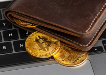 Bitcoin Adresleri Yeni Rekor Kırdı