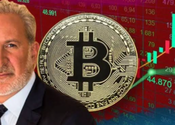 Peter Schiff: “Bitcoin 10.000 Doların Altına Düşme Yolunda” 