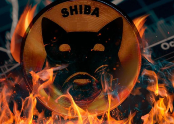 Temmuz Ayında Milyarlarca Shiba Inu (SHIB) Yakımı Gerçekleşti 