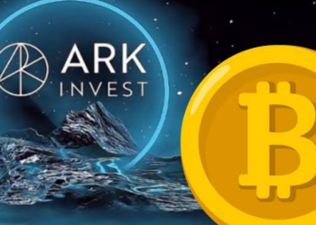 Ark Invest’e Göre, Bitcoin Yüzde 240 Artabilir