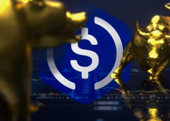 Stablecoin Arzı Artmaya Devam Ediyor