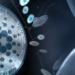 Cardano ADA