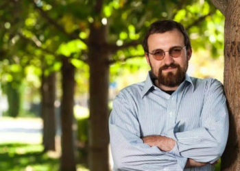 Charles Hoskinson Cardano