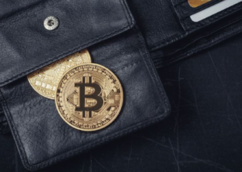 Bitcoin Sahiplerinin Sayısı Rekor Kırdı