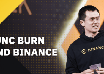 Binance, LUNC Yakımını Destekleyecek mi? CZ Adımı Attı