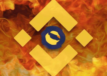 Binance, Terra Classic (LUNC) İşlem Ücretlerini Yakacağını Duyurdu