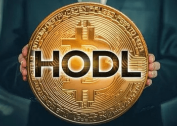 Bitcoin HODL Miktarı Yeni Zirvesinde