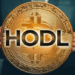 Bitcoin HODL Miktarı Yeni Zirvesinde