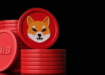 Shiba Inu SHIB Yakımı