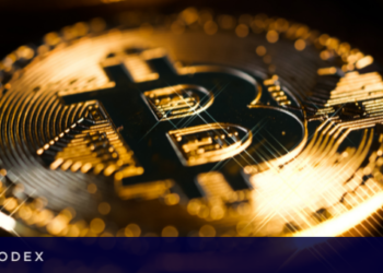 Bitcoin (BTC) Fiyatı Bu Yıl 20.000 Doların Altında Kalabilir, İşte Nedeni