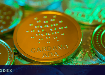 Cardano İçin Büyük Günü Geldi, Balinalar Son Dakika Hamlelerini Yapıyor