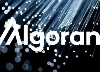 Algorand, Dikkat Çekici Bir Performans Gösteriyor. Peki Neden?