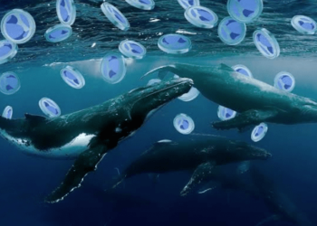 Terra (LUNA) Yükselişiyle Balinaların Radarına Girdi! 