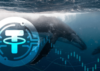 Balina Verileri; Kripto Piyasası Toparlanma Belirtileri mi Gösteriyor?