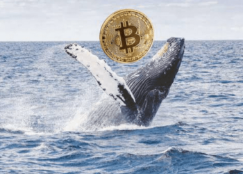 Bitcoin (BTC) Vadeli İşlemleri Balinalar Tarafından Yönetiliyor
