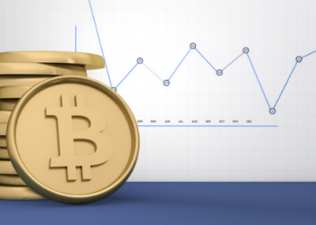 48.000 Adet Bitcoin (BTC) Dev Borsadan Taşındı