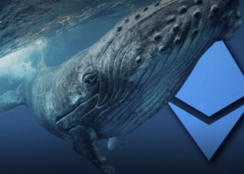 Ethereum Balinaları Harekete Geçti; Milyon Dolarlık ETH Satın Aldılar