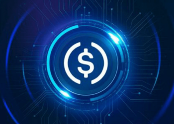 USDC, Son 30 Günde Piyasa Değerinin %20'sini Kaybetti