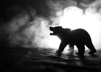 Hacimler 8 Yılın En Yüksek Seviyesinde; Bitcoin İçin Ayı Tuzağı Mı?