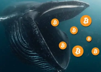 Balinalar Atağa Geçti; Binlerce Bitcoin Alımı Yaptılar