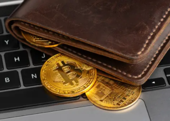 Borsalardan Bitcoin Çıkışı Rekora Ulaştı; Veriler Ne Gösteriyor?