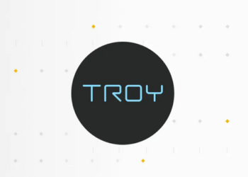 Troy Coin Nedir, ? Hangi Borsada Var ? Nasıl Alınır?