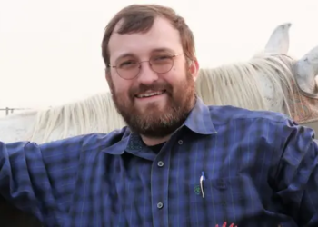 Cardano Kurucusundan İddialı Sözler "Bu Son Krizlerden Biri"