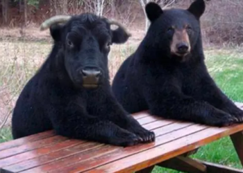 Bitcoin Fiyatı 2023 Yılında Ne Olacak; Yatırım Devleri Kötü Konuştu!