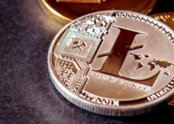 Litecoin Bir Haftada 500 Milyon Dolarlık Giriş Yaşadı