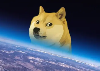 Dogecoin Verileri Yüzde 600 Fırladı