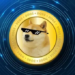 Milyarlarca DOGE Taşıyan Dogecoin Balinası Elon Musk Mı?