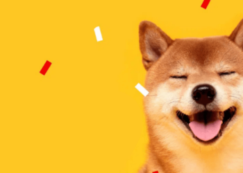 SHIB Bir Günde %600'den Fazla Artış Gerçekleşti, Sırada Fiyat Artışı mı var?