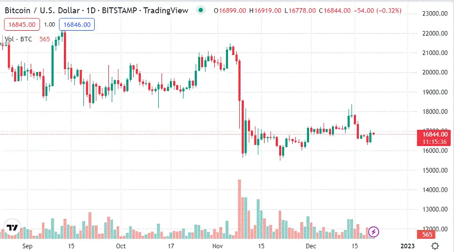 Bitcoin Ayıları ve Boğaları Karşı Karşıya; Kim Kazanacak?
