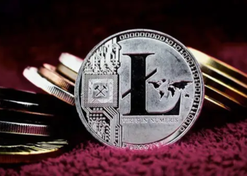 Son Ayların Sürpriz Yıldızı Litecoin Yükselişiyle Dikkatleri Çekmeye Devam Ediyor.