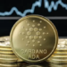 Cardano Fiyatı Değerinin Çok Altında - Peki 2023 ADA İçin Nasıl Geçecek