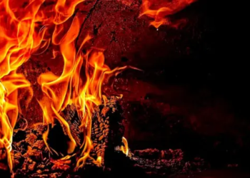 Terra Classic Topluluğu Ocak Ayında 210 Milyon LUNC Yaktı. 