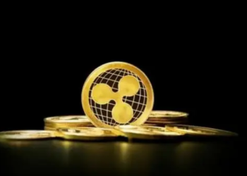 SEC ile Süren Mücadeleye Rağmen XRP Bazı Borsalarda "En İyi Tercih"