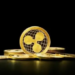 SEC ile Süren Mücadeleye Rağmen XRP Bazı Borsalarda "En İyi Tercih"
