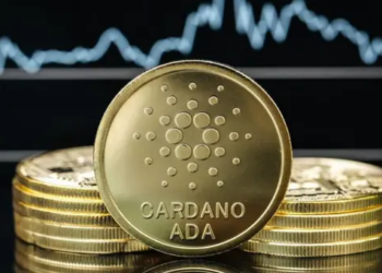 Cardano Cephesinde Ocak Ayında Dikkat Çeken Artışlar Yaşanıyor