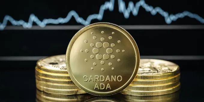 Cardano Cephesinde Ocak Ayında Dikkat Çeken Artışlar Yaşanıyor